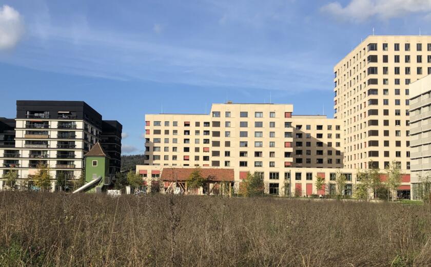 https://albprojekte.ch/assets/projekte/igg-amrietpark-führung-geschäftsstelle/_840x520_crop_top-center_75_none/1874/amRietpark.jpg