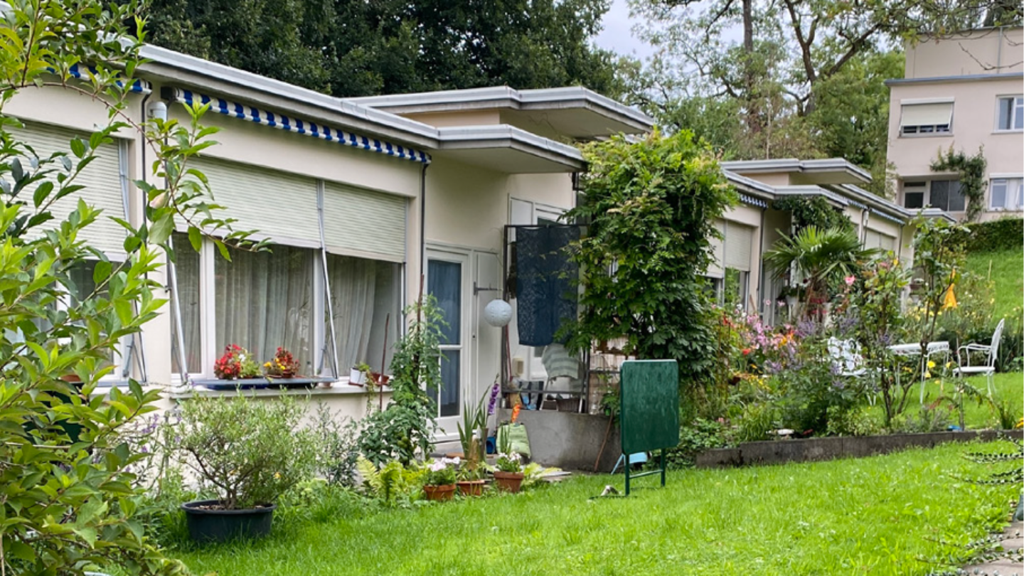 Siedlung Neubühl, Grünraum