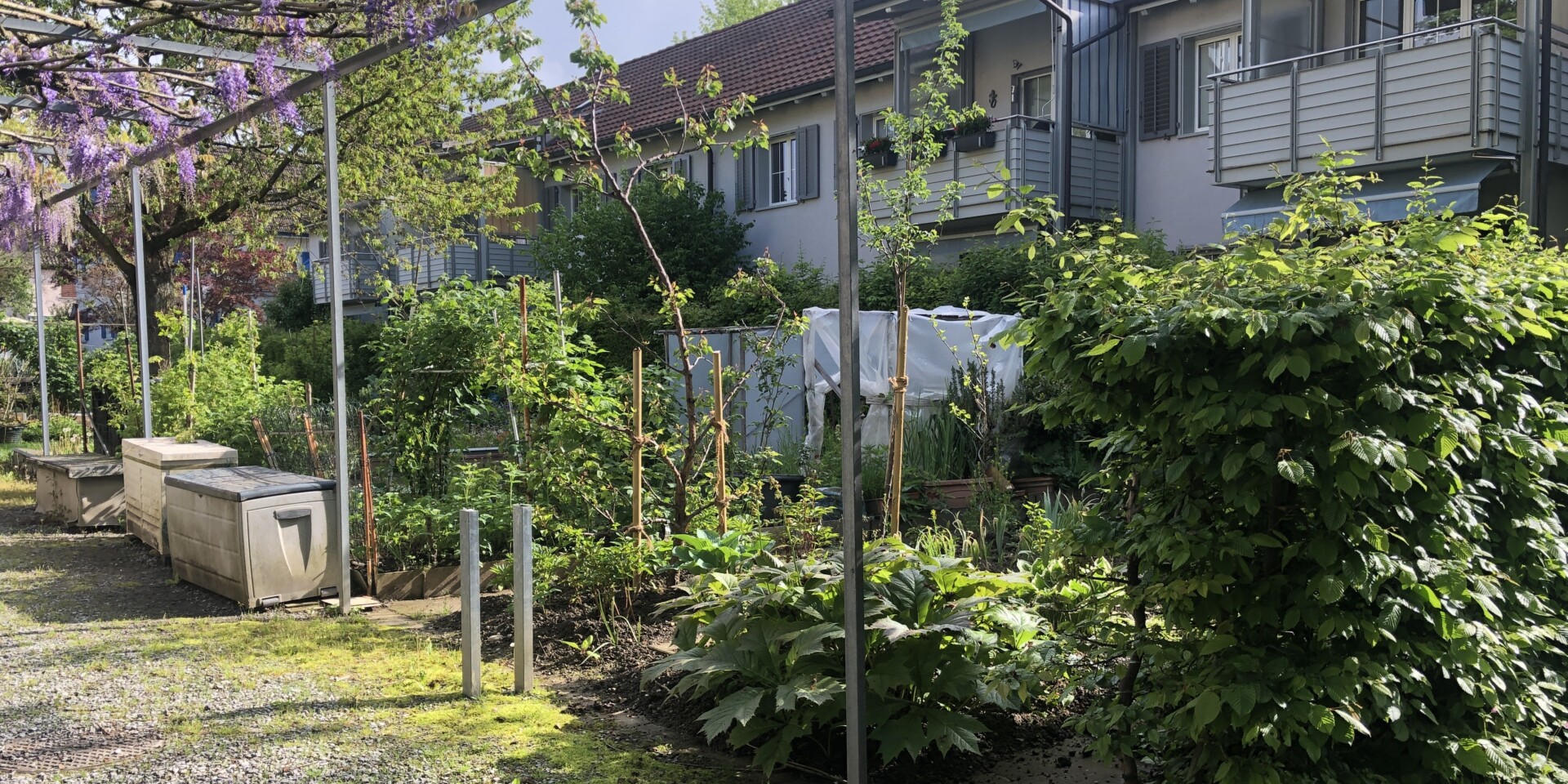 https://albprojekte.ch/assets/projekte/temp_kwezubeaolpouxrqkckapnxgsepniwkfcqli/_1920x960_crop_center-center_90_none/961/Titelbild.jpg